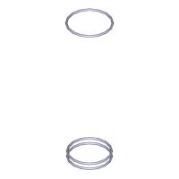 175.1111165-01 Кольцо уплотнительное ТУ2539-019-05768071-2011