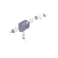 2361.1701200-10 Крышка подшипника