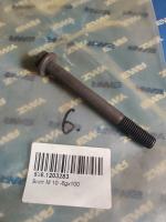 536.1203283 Болт М 10 -6gх100